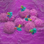 Enhertu Combo Boosts pCR in High-Risk HER2+ Early Breast Cancer: DESTINY-Breast11 Findings