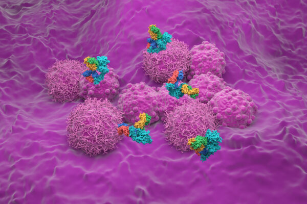 Enhertu Combo Boosts pCR in High-Risk HER2+ Early Breast Cancer: DESTINY-Breast11 Findings